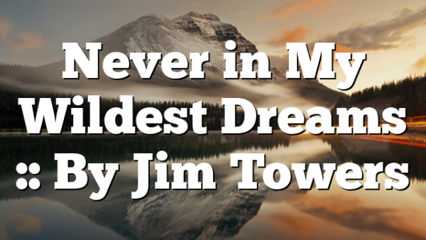 Never in My Wildest Dreams :: By Jim Towers