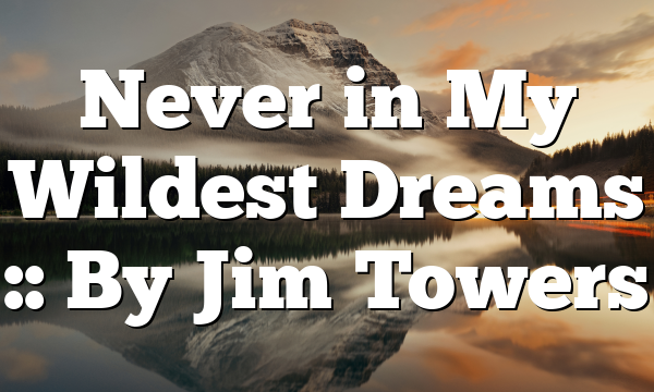 Never in My Wildest Dreams :: By Jim Towers