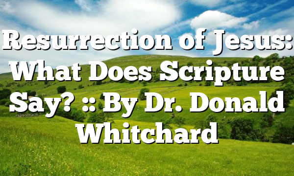 Resurrection of Jesus: What Does Scripture Say? :: By Dr. Donald Whitchard