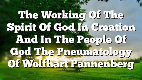 The Working Of The Spirit Of God In Creation And In The People Of God  The Pneumatology Of Wolfhart Pannenberg
