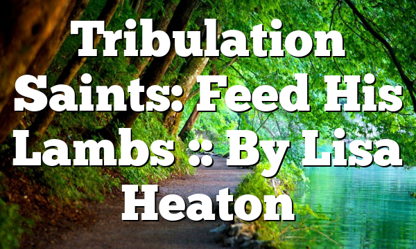Tribulation Saints: Feed His Lambs :: By Lisa Heaton