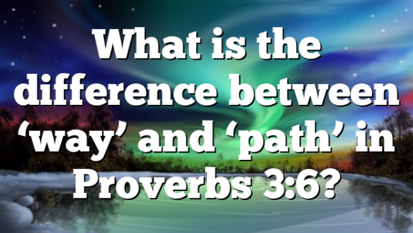 What is the difference between ‘way’ and ‘path’ in Proverbs 3:6?