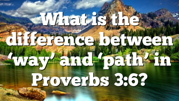 What is the difference between ‘way’ and ‘path’ in Proverbs 3:6?