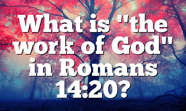 What is "the work of God" in Romans 14:20?