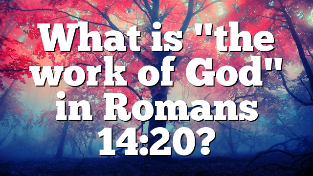 What is "the work of God" in Romans 14:20?
