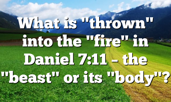What is "thrown" into the "fire" in Daniel 7:11 – the "beast" or its "body"?
