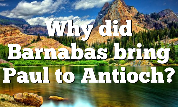 Why did Barnabas bring Paul to Antioch?