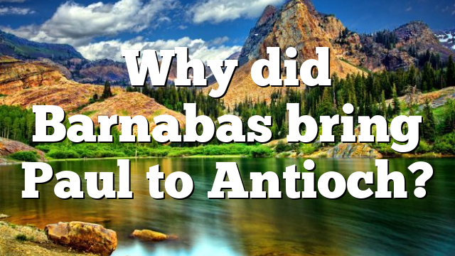 Why did Barnabas bring Paul to Antioch?