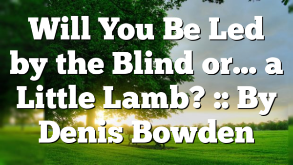 Will You Be Led by the Blind or… a Little Lamb? :: By Denis Bowden