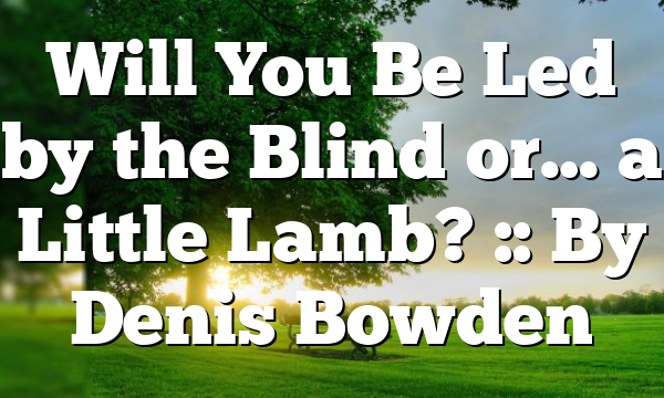 Will You Be Led by the Blind or… a Little Lamb? :: By Denis Bowden