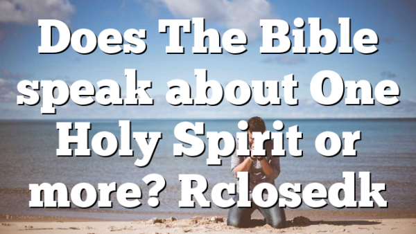 Does The Bible speak about One Holy Spirit or more? [closed]