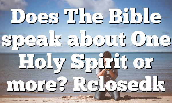 Does The Bible speak about One Holy Spirit or more? [closed]