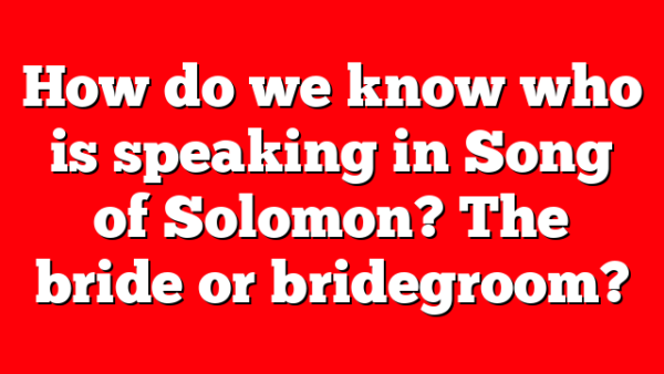 How do we know who is speaking in Song of Solomon? The bride or bridegroom?