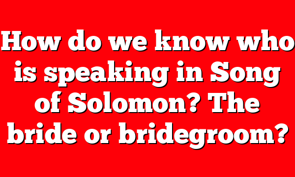 How do we know who is speaking in Song of Solomon? The bride or bridegroom?