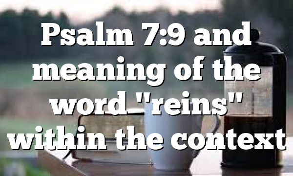 Psalm 7:9 and meaning of the word "reins" within the context