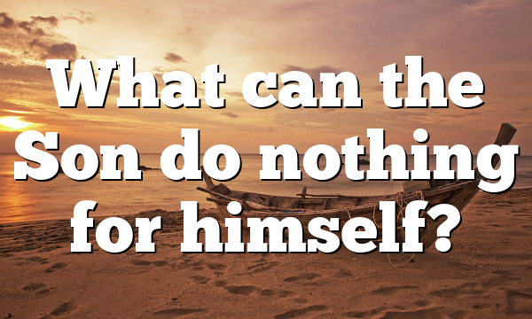 What can the Son do nothing for himself?