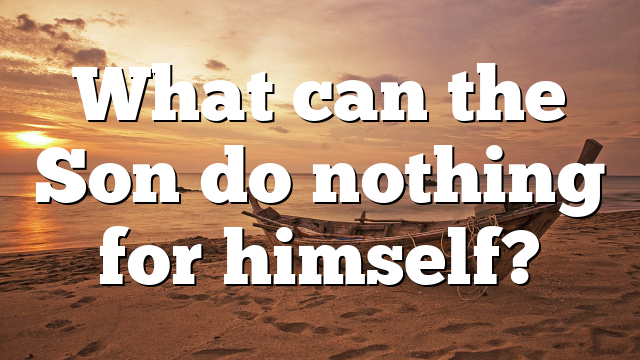What can the Son do nothing for himself?