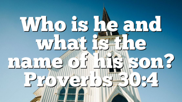Who is he and what is the name of his son? Proverbs 30:4