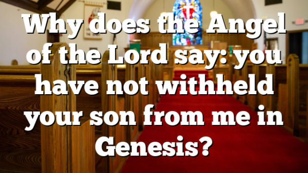 Why does the Angel of the Lord say: you have not withheld your son from me in Genesis?