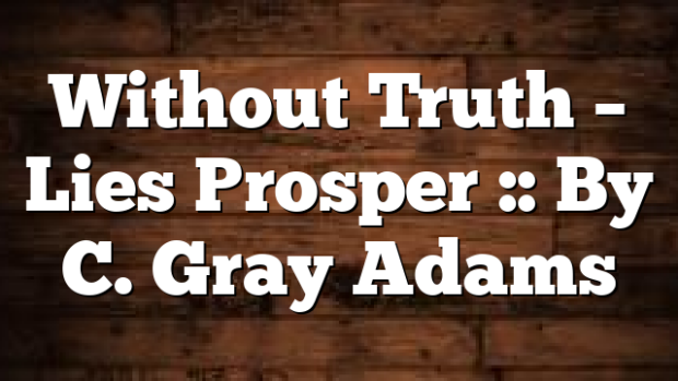 Without Truth &ndash; Lies Prosper :: By C. Gray Adams