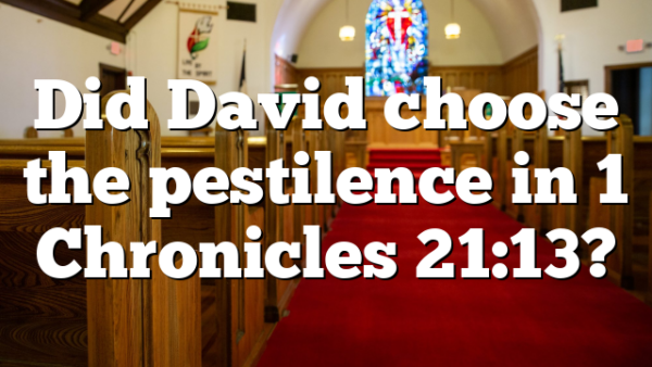 Did David choose the pestilence in 1 Chronicles 21:13?