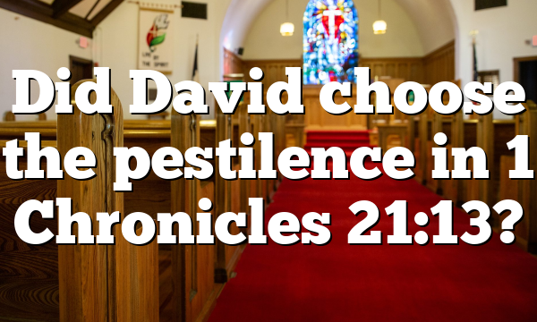 Did David choose the pestilence in 1 Chronicles 21:13?