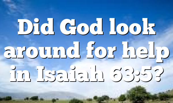 Did God look around for help in Isaiah 63:5?