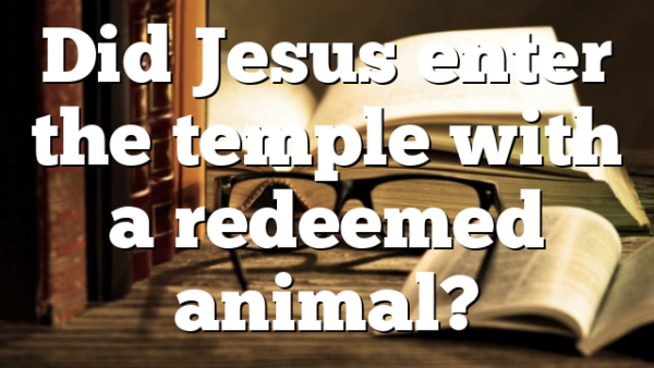 Did Jesus enter the temple with a redeemed animal?