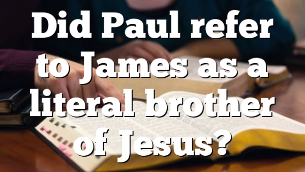 Did Paul refer to James as a literal brother of Jesus?