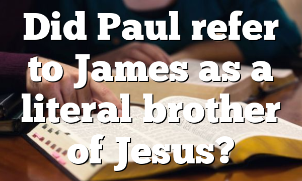Did Paul refer to James as a literal brother of Jesus?