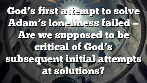 God’s first attempt to solve Adam’s loneliness failed — Are we supposed to be critical of God’s subsequent initial attempts at solutions?