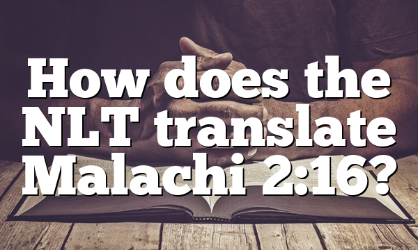 How does the NLT translate Malachi 2:16?