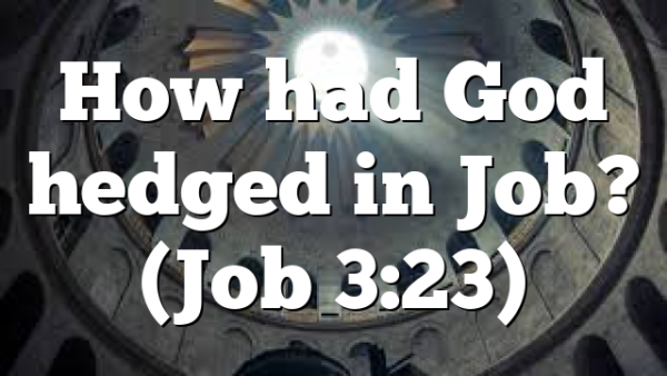How had God hedged in Job? (Job 3:23)
