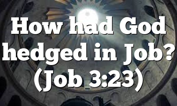 How had God hedged in Job? (Job 3:23)