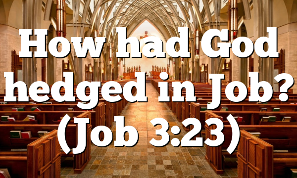 How had God hedged in Job? (Job 3:23)