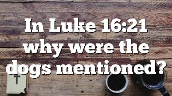 In Luke 16:21 why were the dogs mentioned?