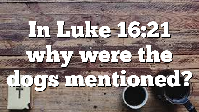 In Luke 16:21 why were the dogs mentioned?