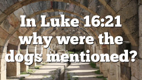 In Luke 16:21 why were the dogs mentioned?