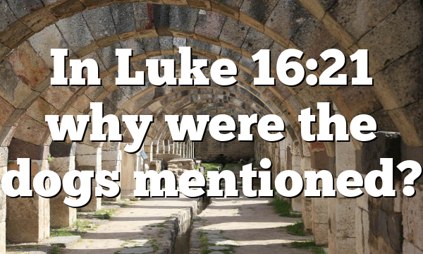 In Luke 16:21 why were the dogs mentioned?
