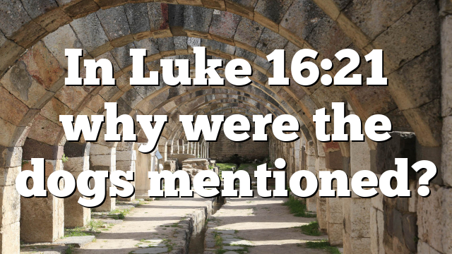 In Luke 16:21 why were the dogs mentioned?