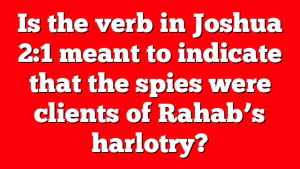 Is the verb in Joshua 2:1 meant to indicate that the spies were clients of Rahab’s harlotry?