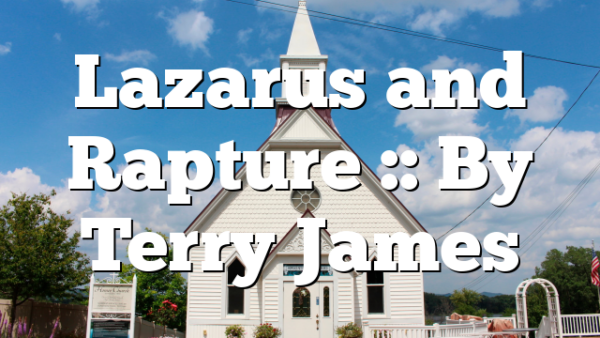 Lazarus and Rapture :: By Terry James