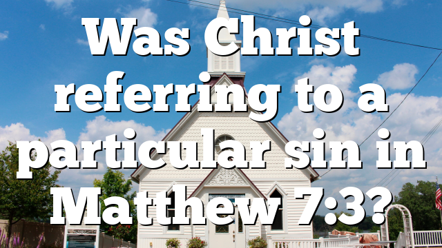 Was Christ referring to a particular sin in Matthew 7:3?