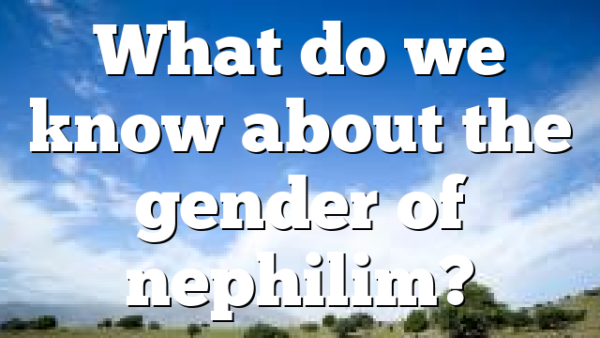 What do we know about the gender of nephilim?