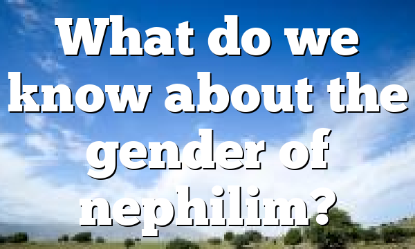 What do we know about the gender of nephilim?