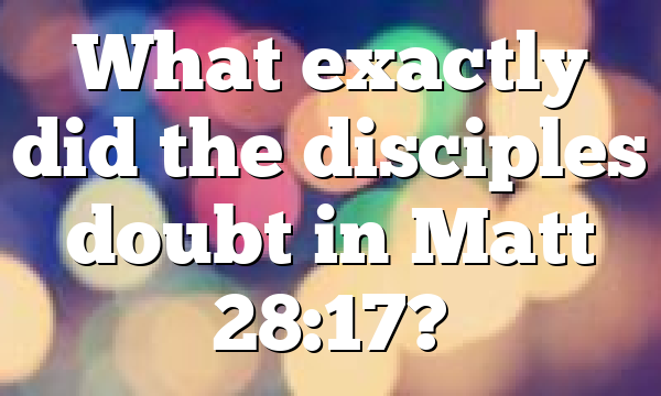 What exactly did the disciples doubt in Matt 28:17?