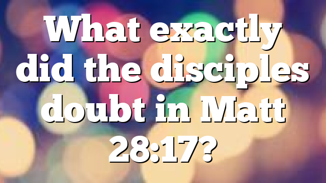 What exactly did the disciples doubt in Matt 28:17?