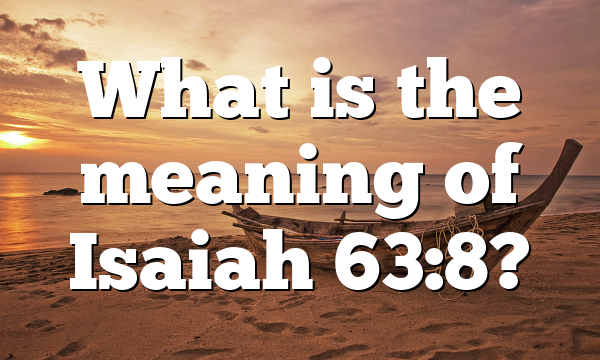 What is the meaning of Isaiah 63:8?