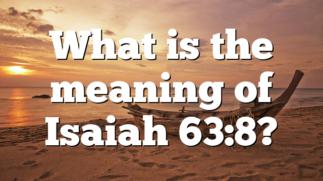 What is the meaning of Isaiah 63:8?