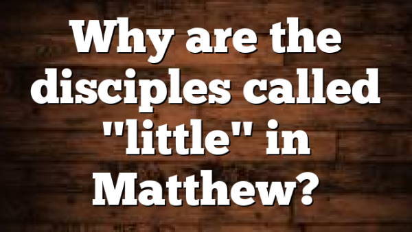 Why are the disciples called "little" in Matthew?